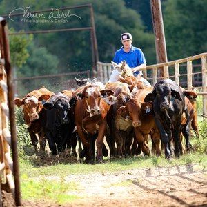 Meet your Posher, Melvin